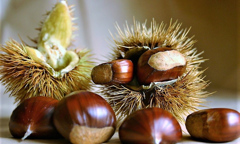 Raccolta