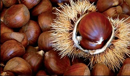 Castagne